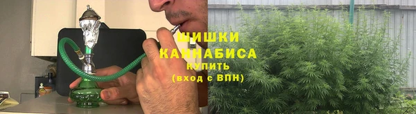 прущие грибы Новокубанск