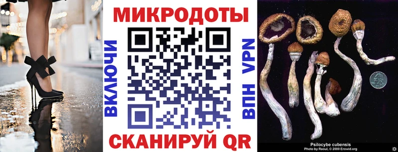 наркошоп  Славск  MEGA рабочий сайт  дарк нет официальный сайт  Галлюциногенные грибы MAGIC MUSHROOMS 